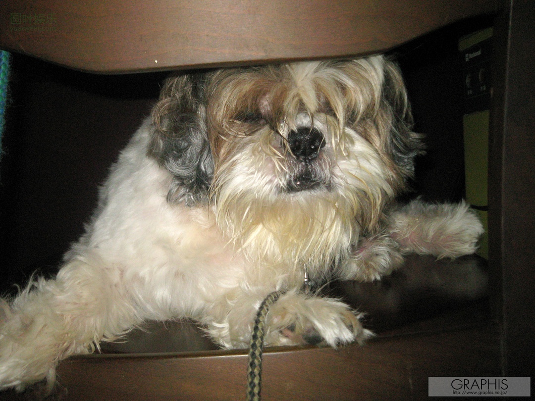 (2009 - 12 - 18) AKIYAMA Shouko (秋山祥子) - Lucky