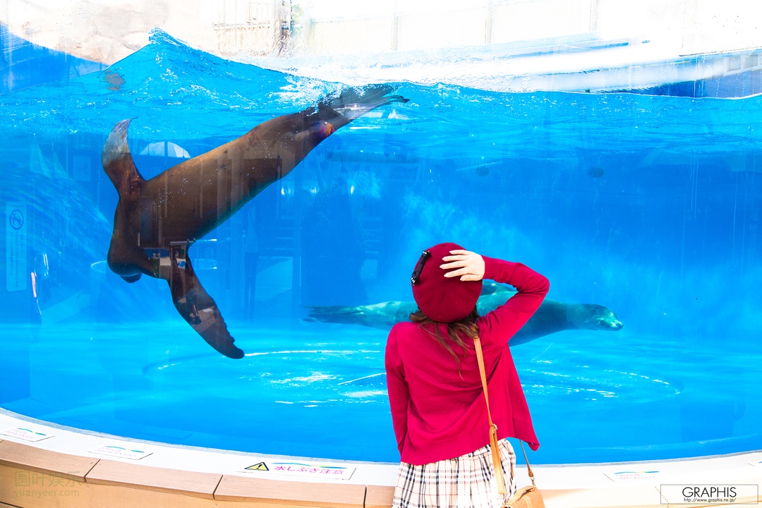 (2015 - 10 - 30) HASEGAWA Rui (长谷川るい) - Autumn Special 2015 - My Funny Girlfriend