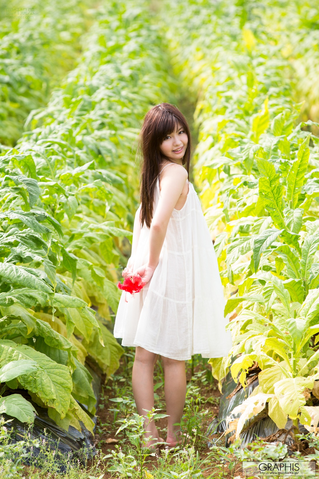 (2013 - 06 - 28) HAYAMA Mei (叶山めい)