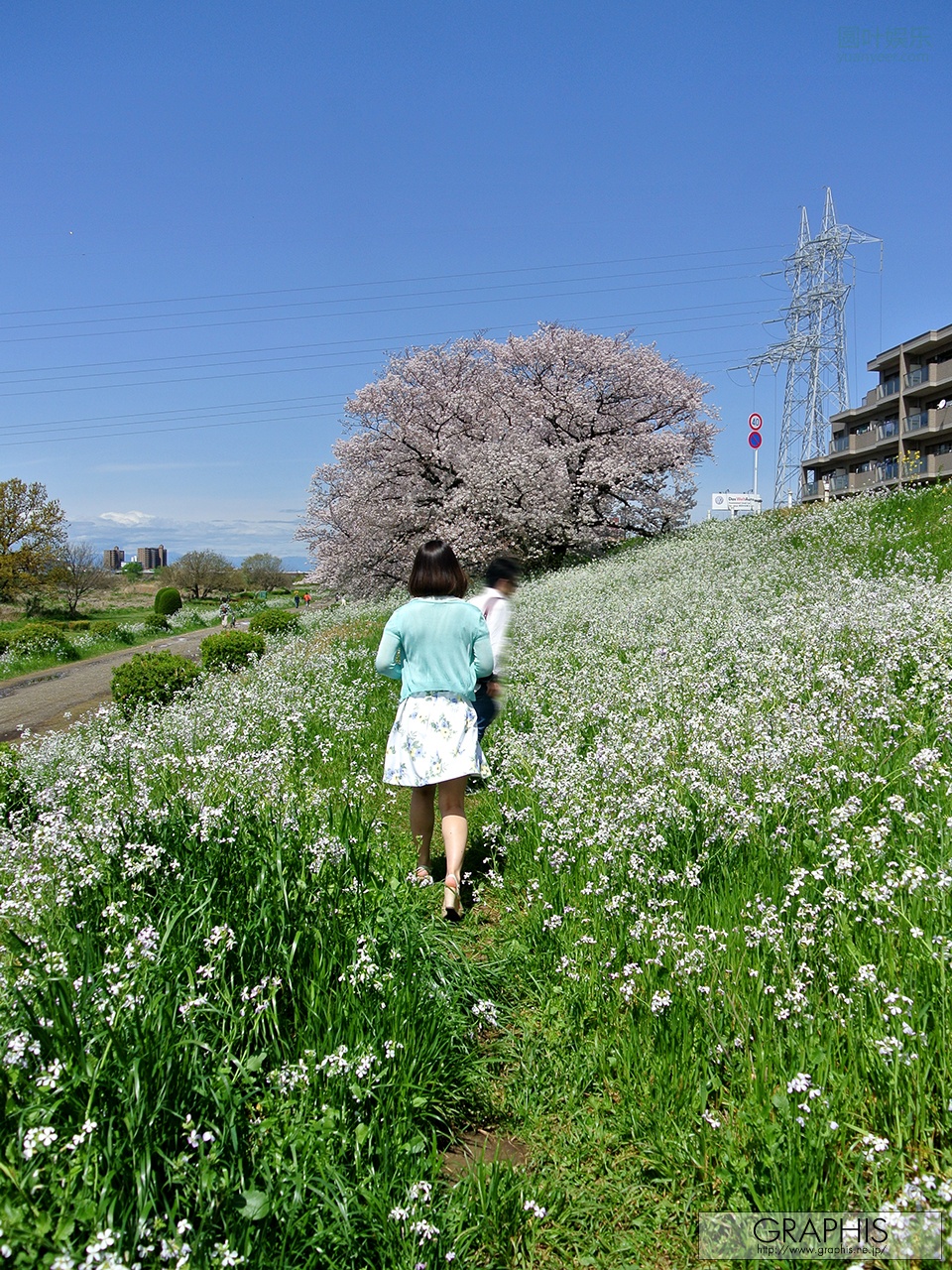 (2017 - 04 - 21) KIKUKAWA Mitsuha (菊川みつ叶) - Flesh Seedlings