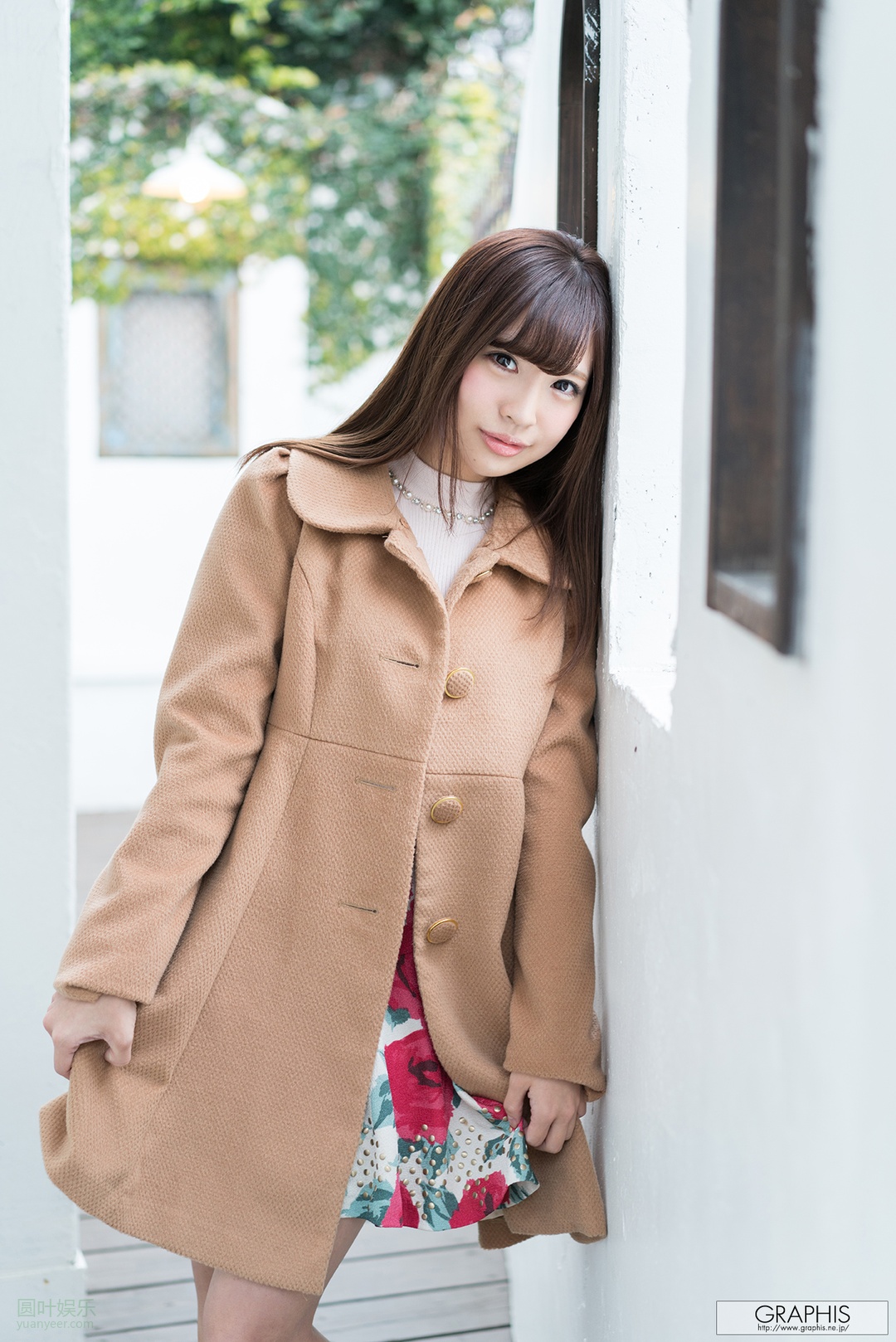 (2017 - 01 - 27) SAZANAMI Aya (佐々波绫) - Ceylon wrightia