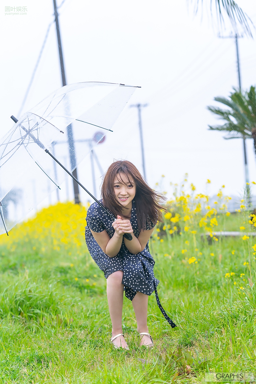 (2020 - 04 - 17) SHIZUKI Madoka (诗月まどか) - Turnover