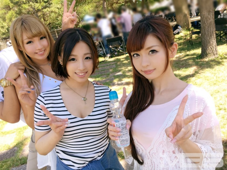 圆叶大文娱