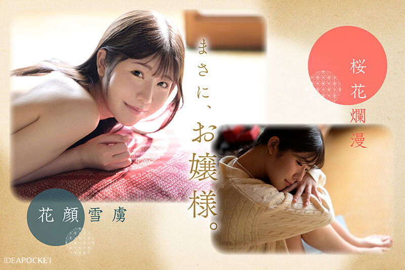 坂井美樱(坂井美桜)出道作品番号及封面,坂井美樱个人简介