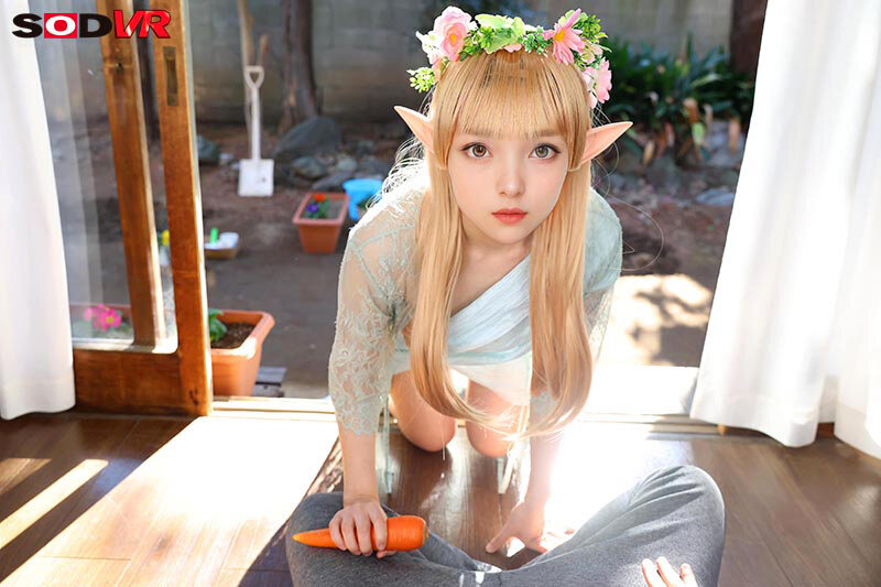 作品DSVR-1746发布，封面及作品信息！