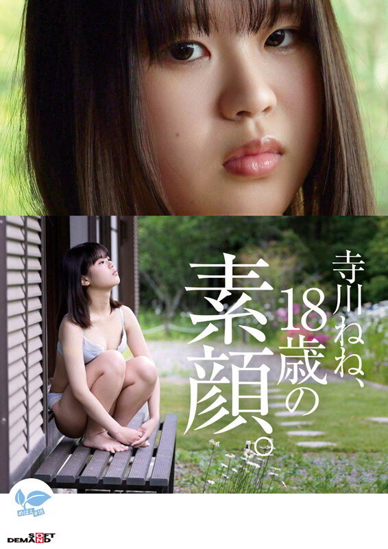 寺川ねね作品SDAB-340发布，封面及作品信息！