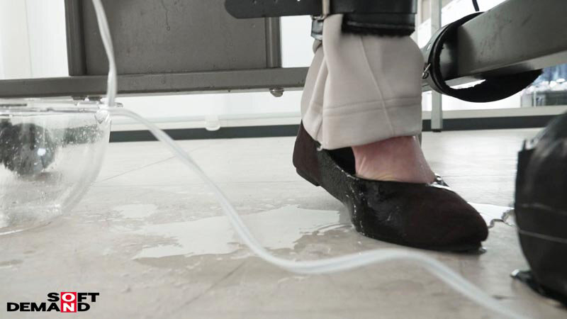 作品SDJS-315发布，封面及作品信息！