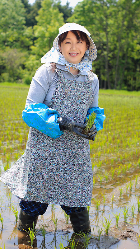 作品MBM-979发布，封面及作品信息！