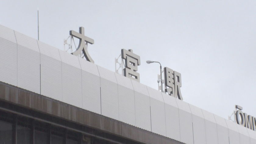圆叶文娱