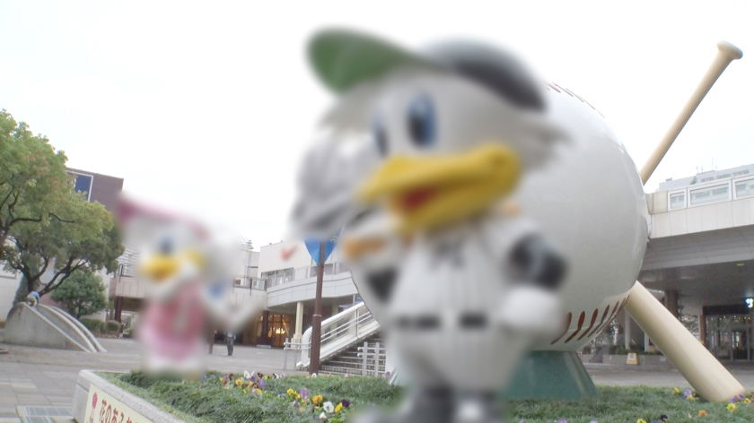 圆叶文娱