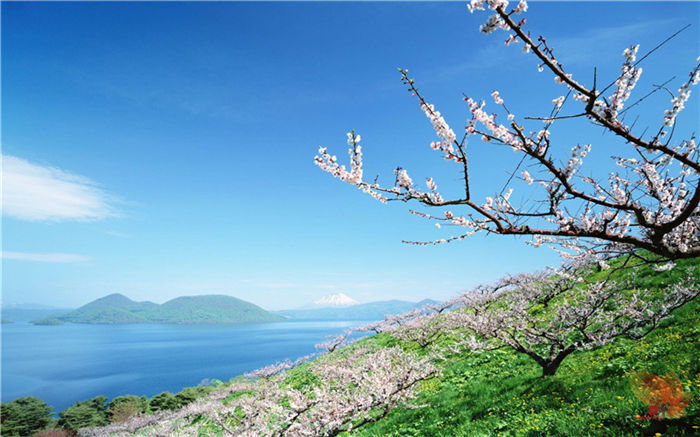 壁纸精选 (124).jpg