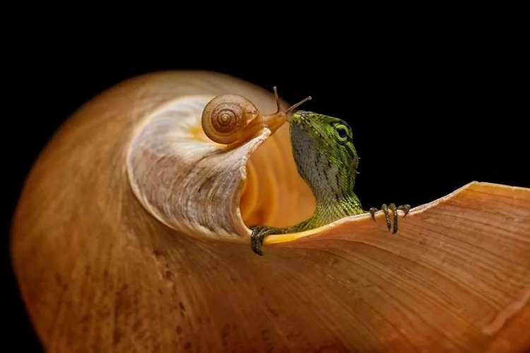 8df9bf2e76ec46708a790153265f012f.JPG