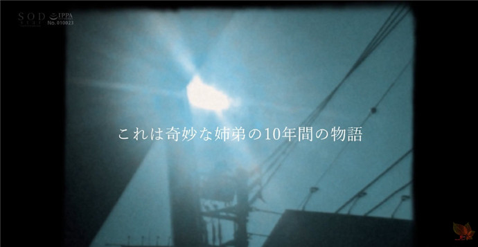 一部霓虹影片的分镜