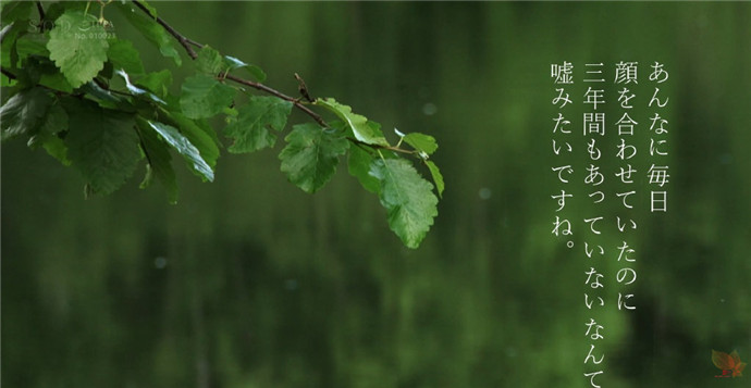 一部霓虹影片的分镜