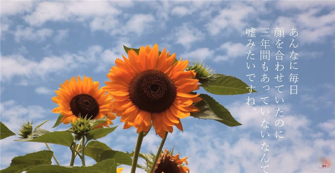 一部霓虹影片的分镜