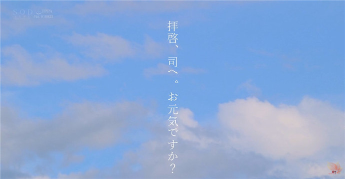 一部霓虹影片的分镜
