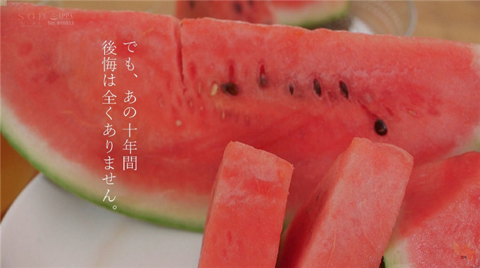 一部霓虹影片的分镜