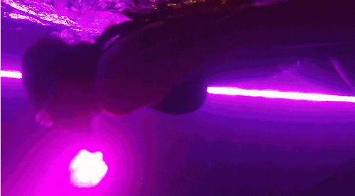 f1b5a93f09aa181d3a90e289525891d4 (1).gif