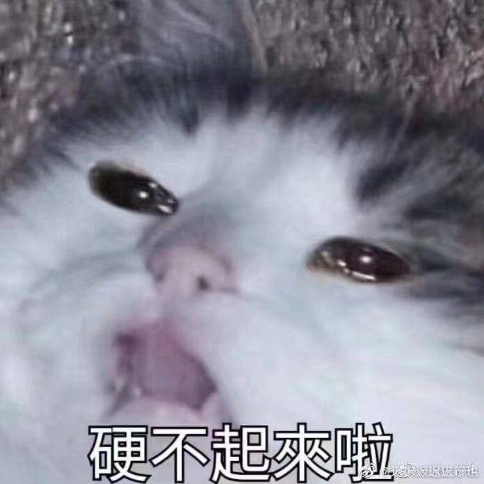 硬盘里的女优们，后来都怎么样了