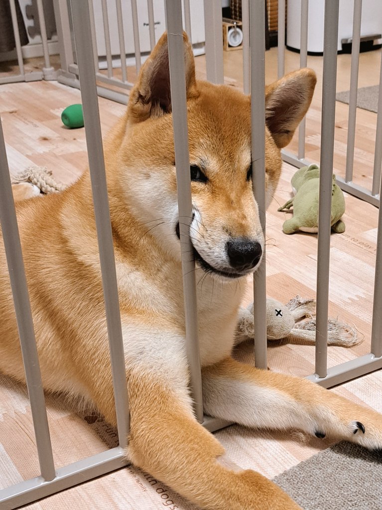 GRR1e-Ub0AAXtnp.jpg