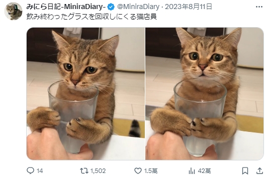 1723622190131.jpg