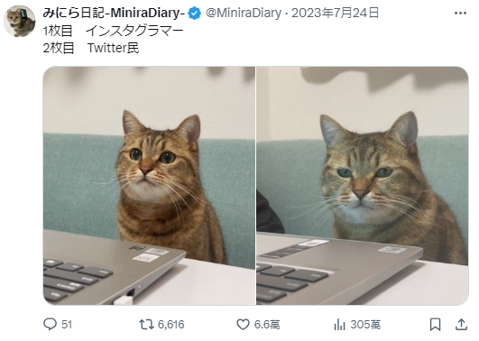 1723622216062.jpg