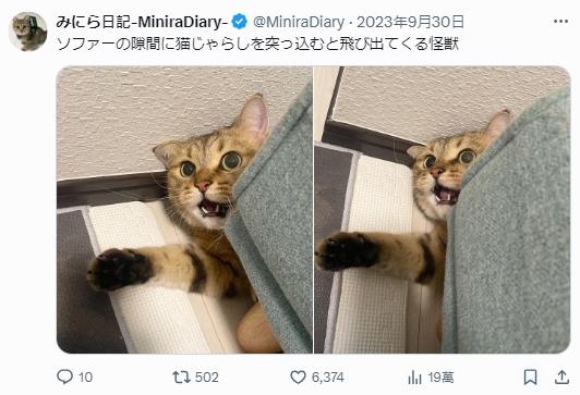 1723622081830.jpg