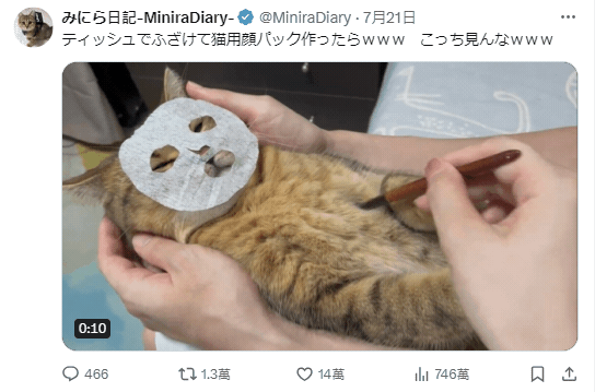 1723621980594.gif