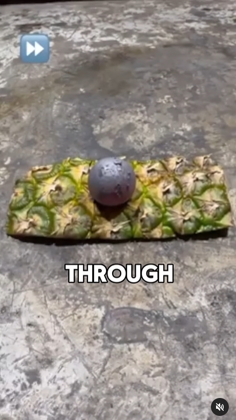 1723694651290.jpg