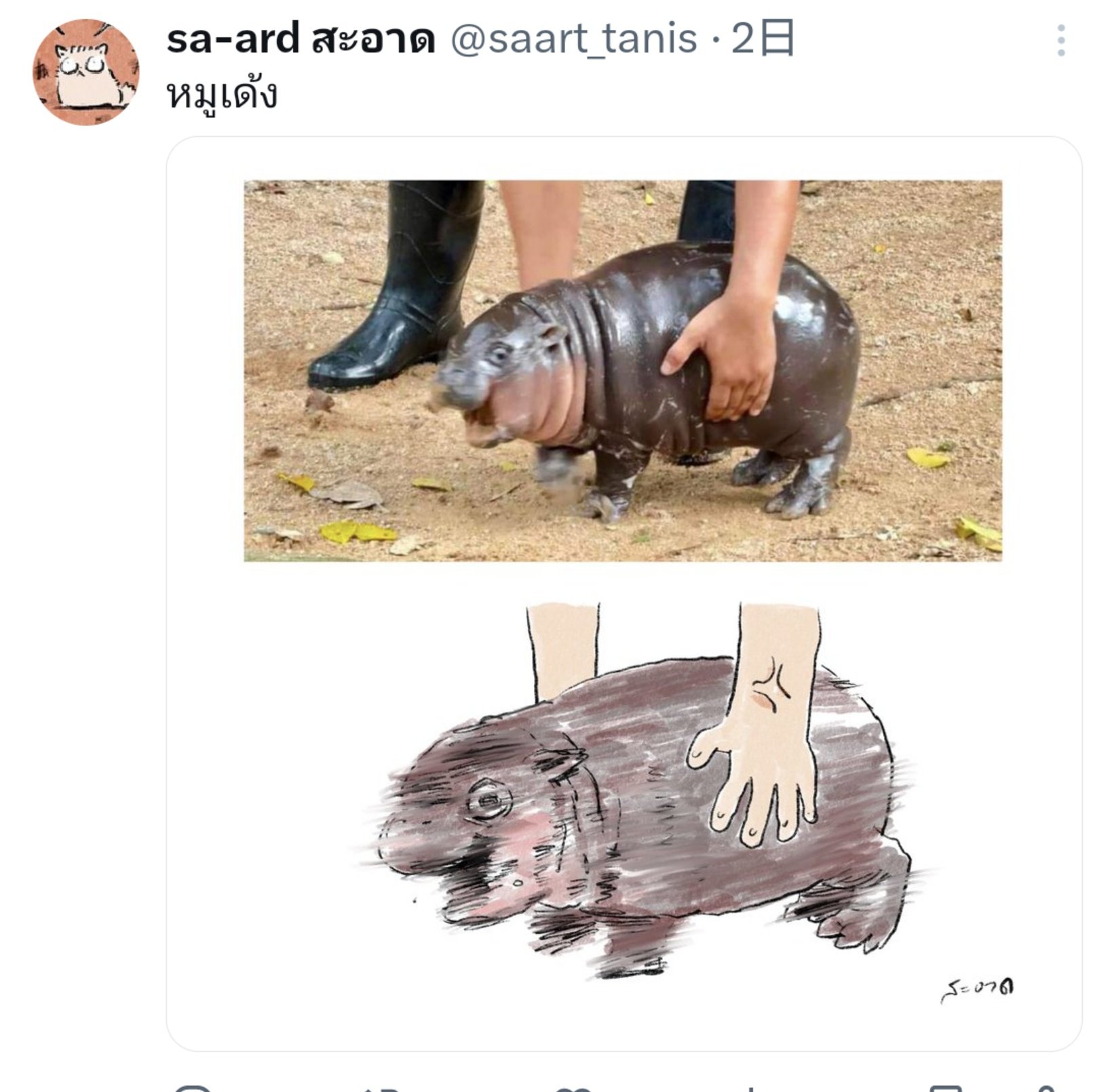 458935181_917823947031409_1868195145246703857_n.jpg