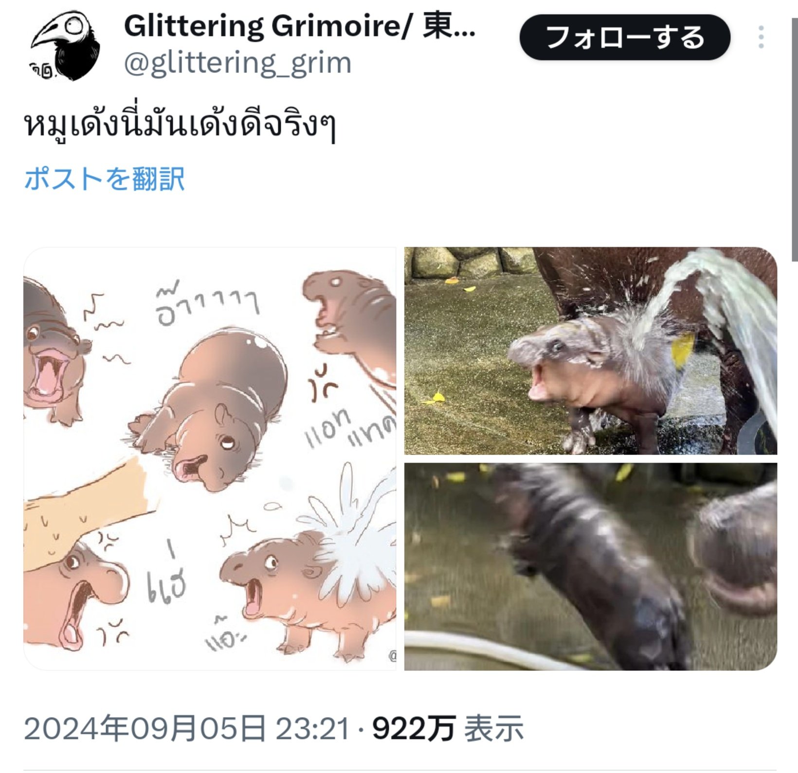 458986072_917823927031411_7622095581782682834_n.jpg