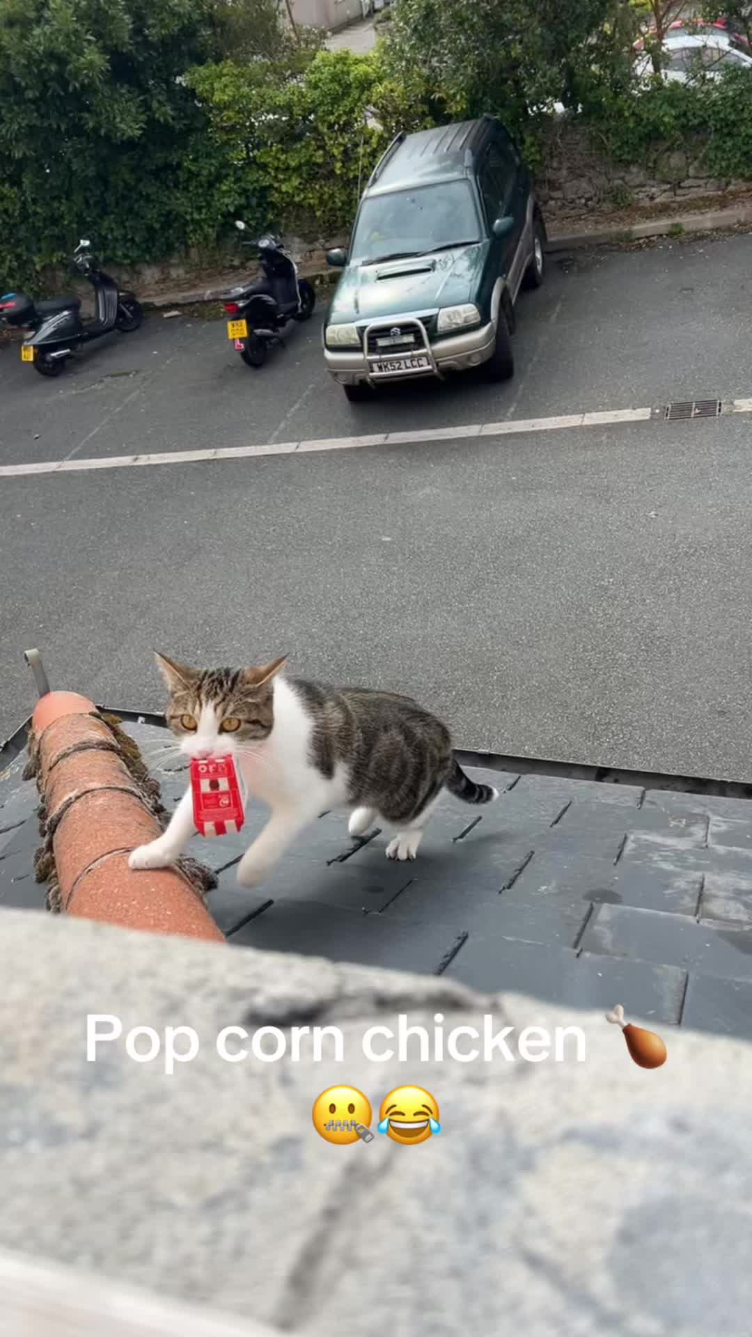 oMbKQ2DB5Im9FDeJKPfBRztd56hpExE5AEDdjE.jpg
