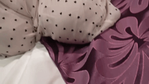 hhd800.com@FC2-PPV-4570251.mp4.bt20257915104911.gif