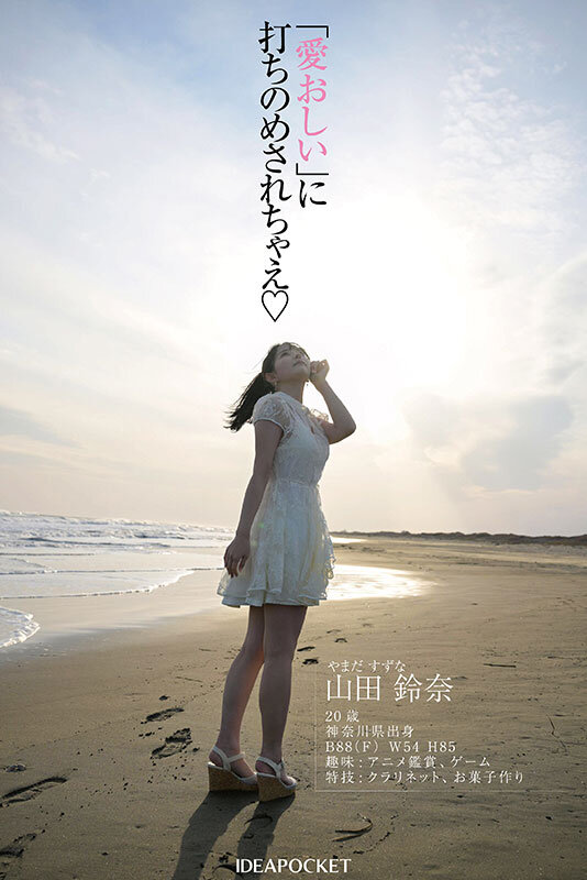 ipzz00610jp-6.jpg