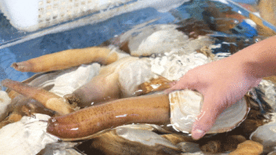 f087ceb39b18105df6408c2c88ca5fe7.gif
