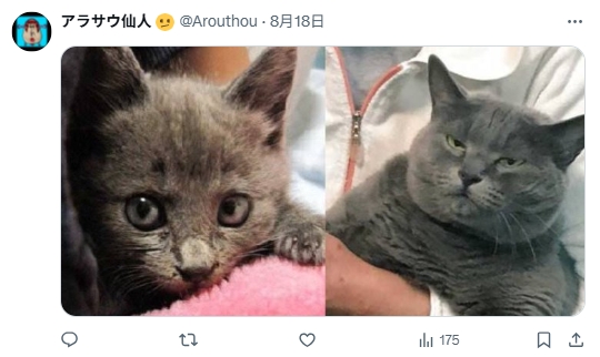 网友热议《当开朗角色眼神失去光》经历成长痛后,期待反差魅力产生!