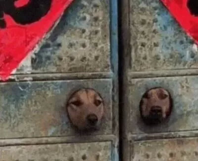 我能怎么办？大家才认识不久，跟你很熟么？开车过去一趟，油钱你付么。