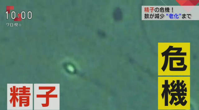 《精子无力的７大原因》，抽烟的肥宅精子最无力？