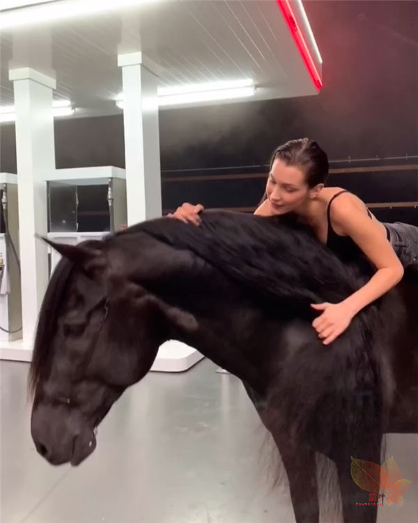 Bellahadid：骏马配美人