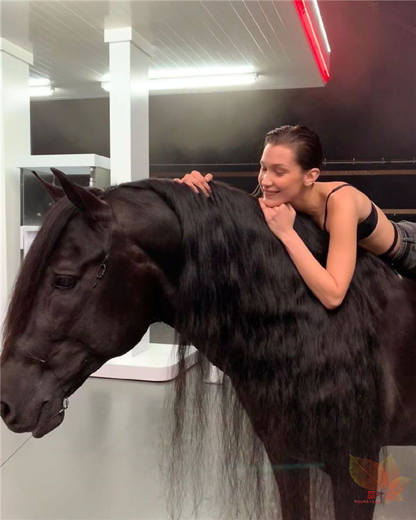 Bellahadid：骏马配美人