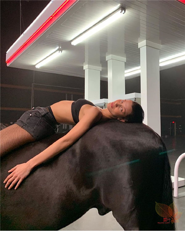 Bellahadid：骏马配美人