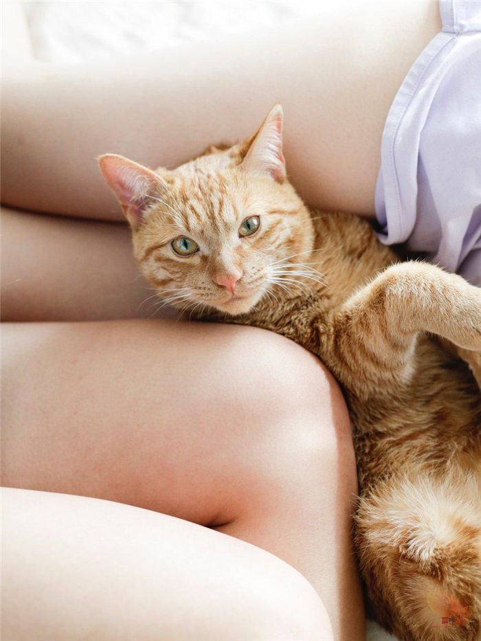 日本摄影师青山裕企与他的《猫与大腿》写真