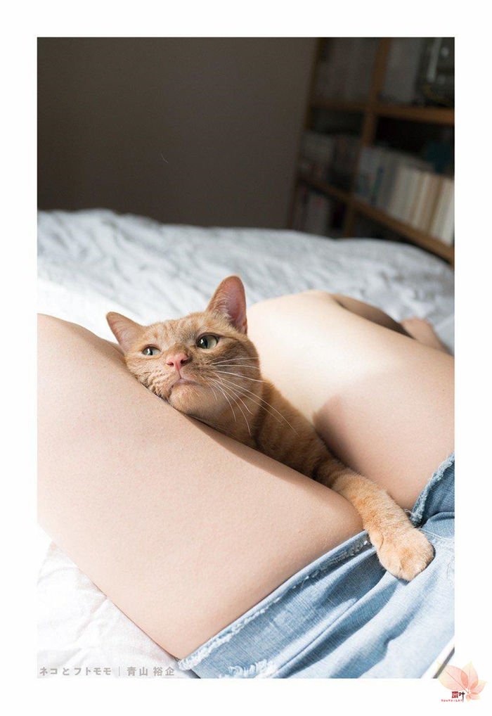 日本摄影师青山裕企与他的《猫与大腿》写真