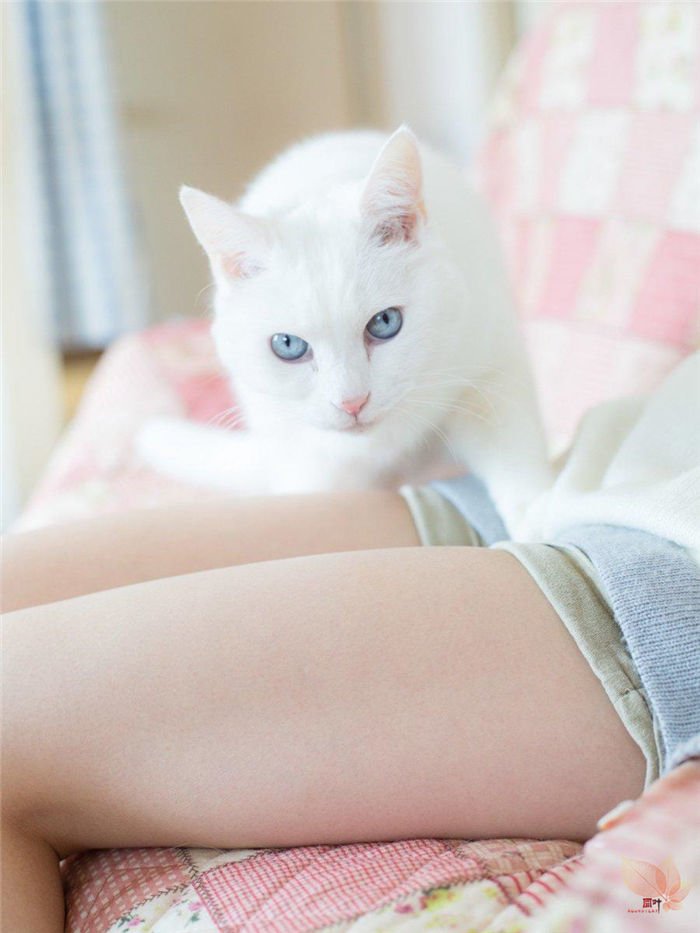 日本摄影师青山裕企与他的《猫与大腿》写真