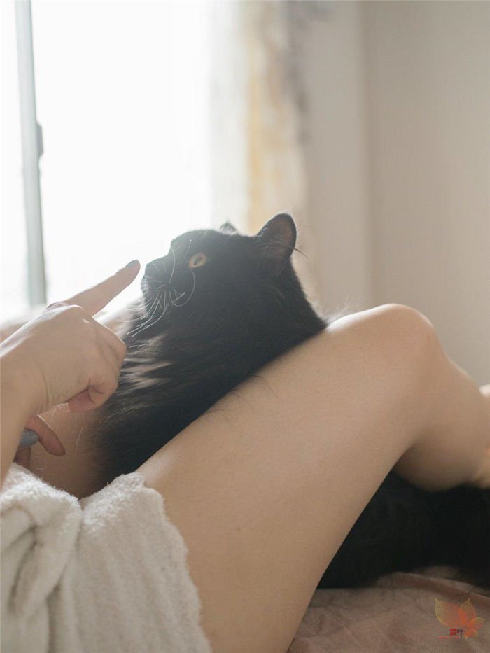 日本摄影师青山裕企与他的《猫与大腿》写真