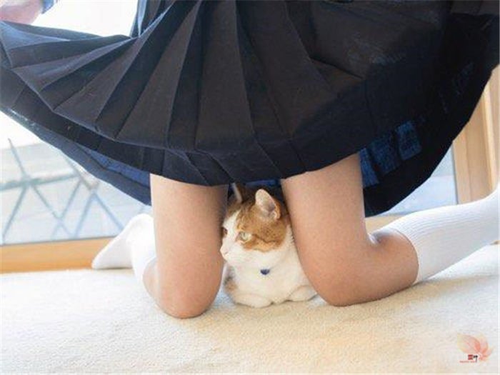 日本摄影师青山裕企与他的《猫与大腿》写真