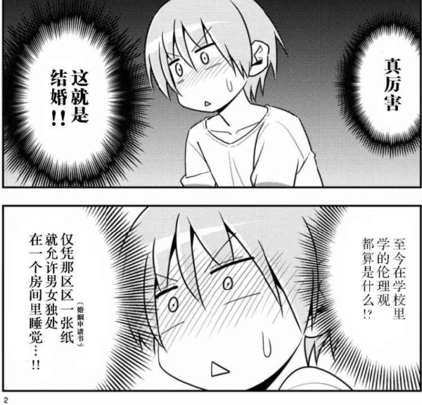 内涵图7这只猫真胖