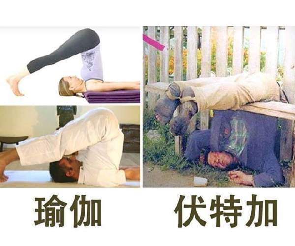 内涵图4瑜伽VS伏特加