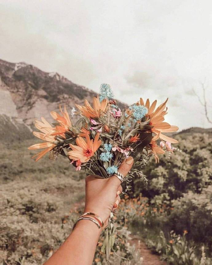 晚安心语优美191107:我一野马,谈什么归途