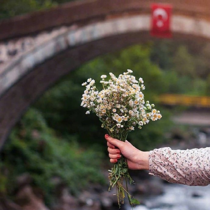 晚安心语优美191107:我一野马,谈什么归途